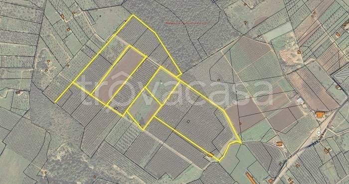 casa indipendente in vendita a Presicce-Acquarica