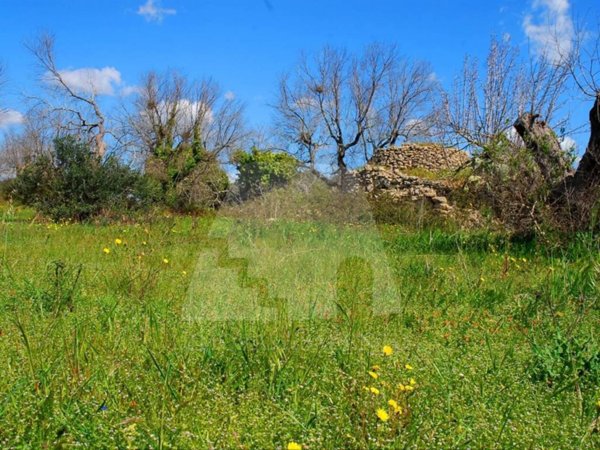terreno agricolo in vendita a Presicce-Acquarica in zona Presicce