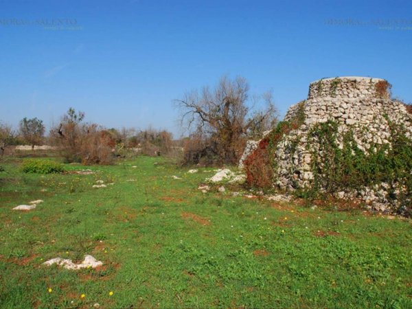terreno agricolo in vendita a Presicce-Acquarica