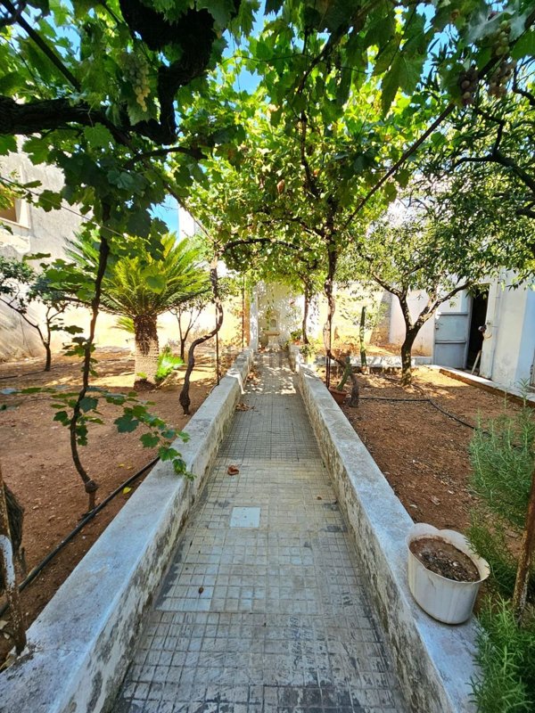 casa indipendente in vendita a Presicce-Acquarica in zona Presicce