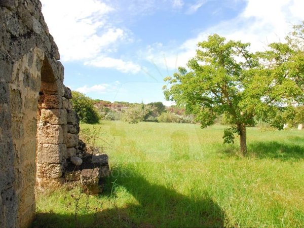 casa indipendente in vendita a Presicce-Acquarica in zona Presicce