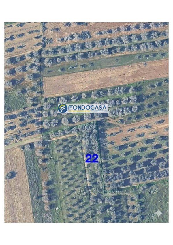 terreno edificabile in vendita a Presicce-Acquarica in zona Acquarica del Capo