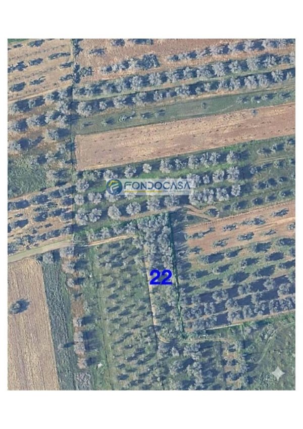 terreno edificabile in vendita a Presicce-Acquarica in zona Acquarica del Capo