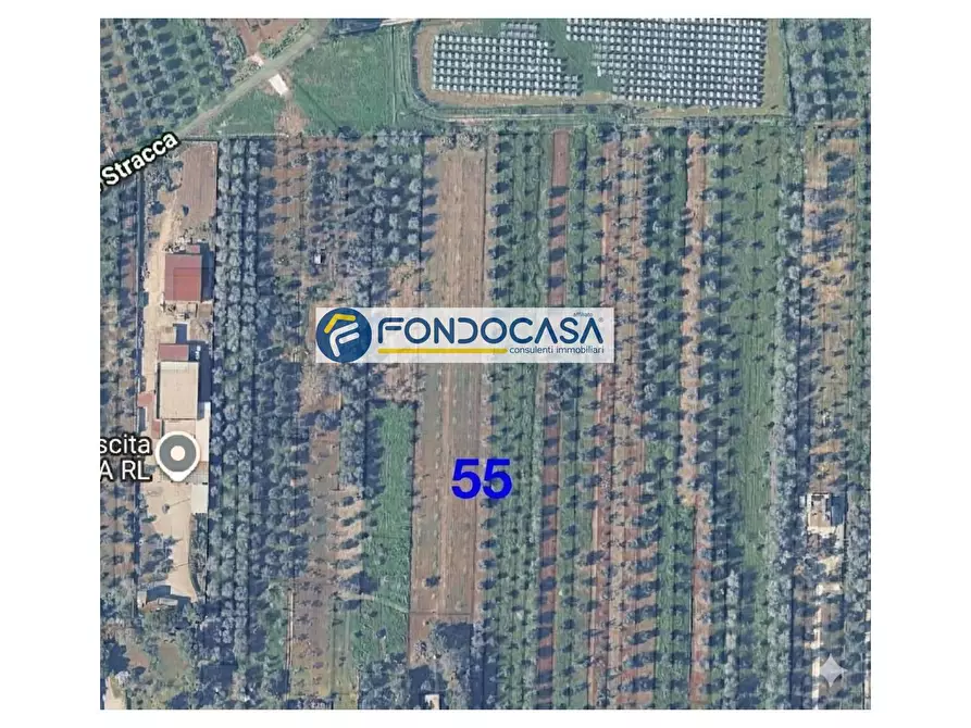 locale commerciale in vendita a Presicce-Acquarica in zona Acquarica del Capo