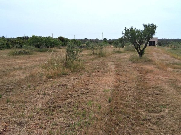 terreno edificabile in vendita a Presicce-Acquarica