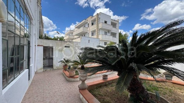 casa indipendente in vendita a Presicce-Acquarica