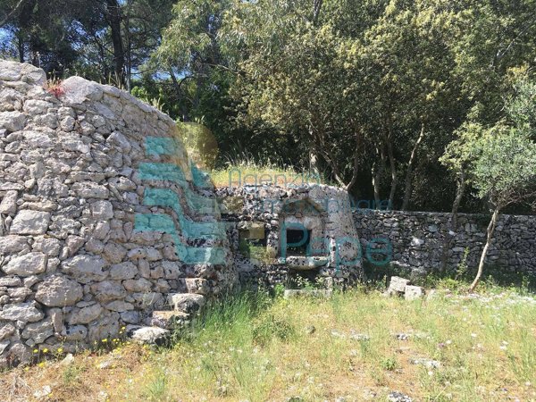 terreno agricolo in vendita a Presicce-Acquarica