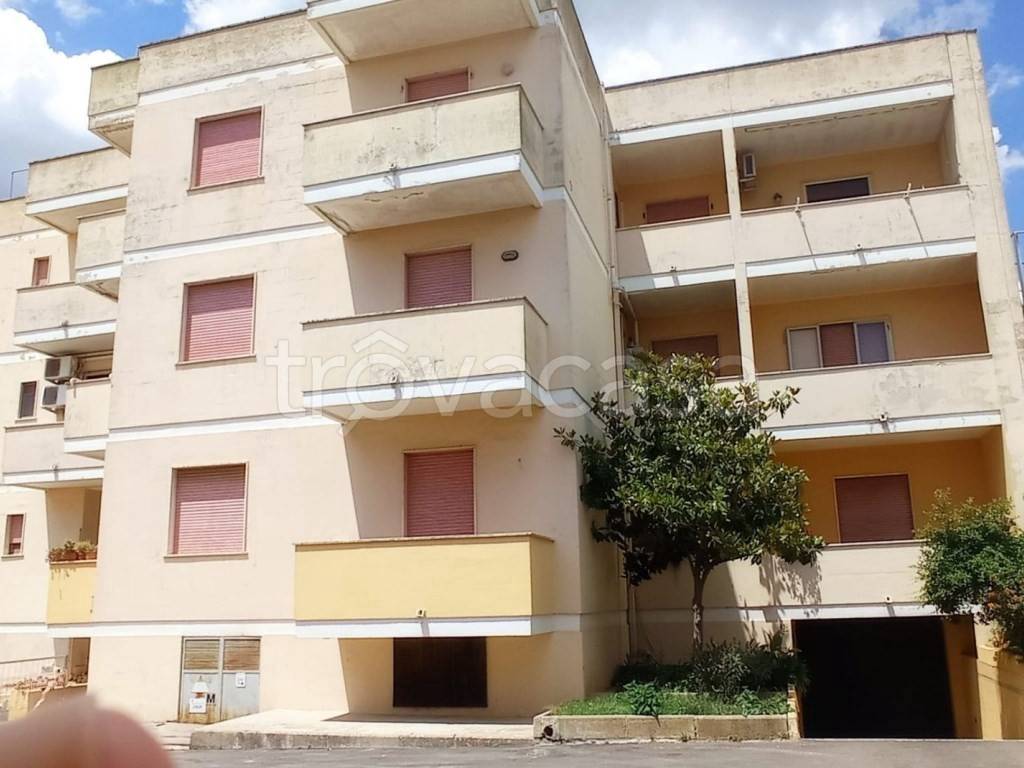 appartamento in vendita a Presicce-Acquarica in zona Presicce