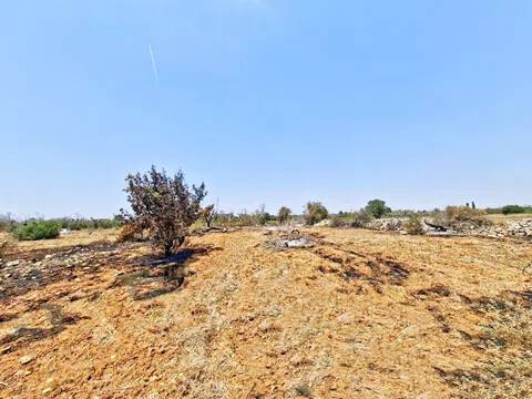 terreno agricolo in vendita a Presicce-Acquarica