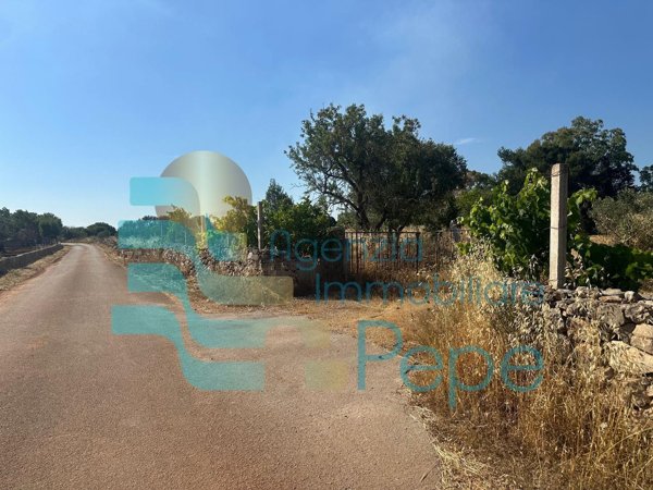terreno agricolo in vendita a Presicce-Acquarica