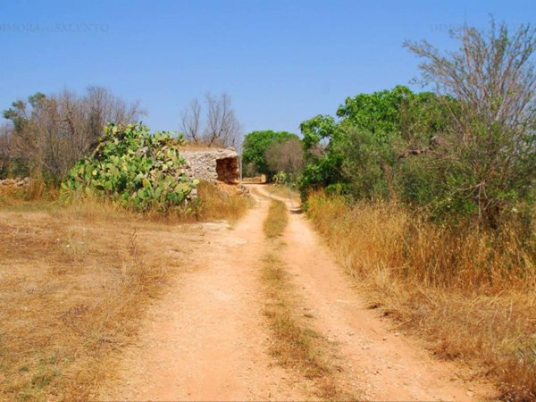 terreno in vendita a Presicce-Acquarica