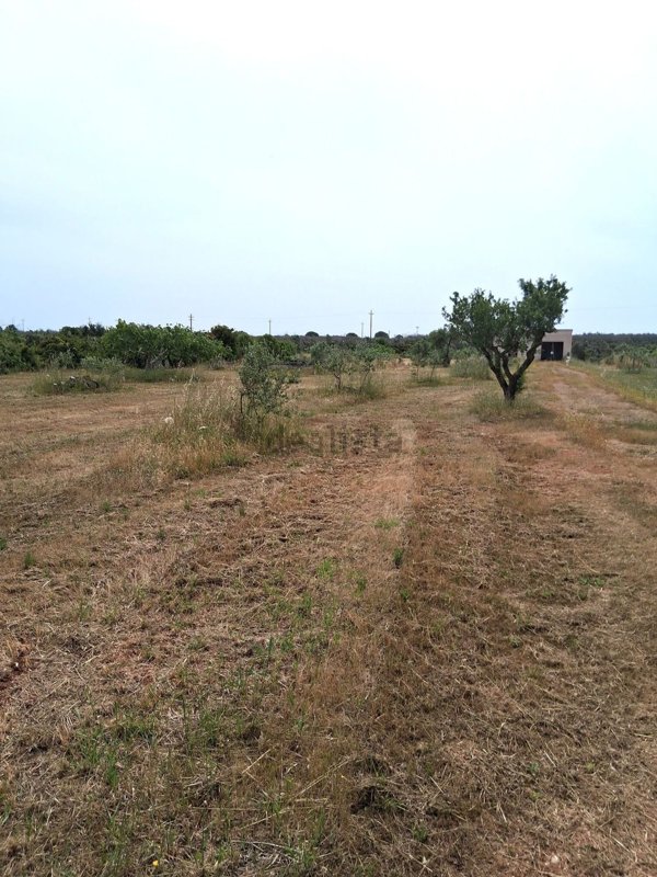 terreno in vendita a Presicce-Acquarica