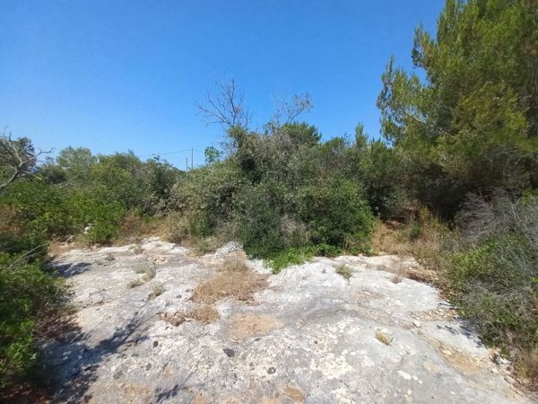 terreno in vendita a Presicce-Acquarica