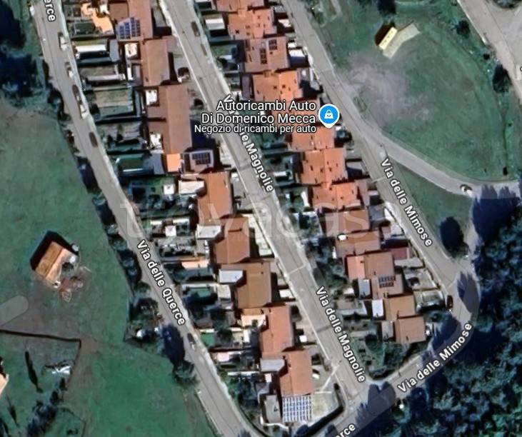 immagine annuncio 0 di 12