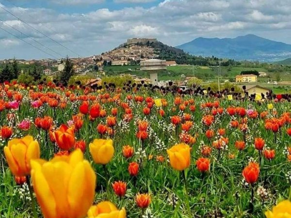 casa indipendente in vendita ad Avigliano