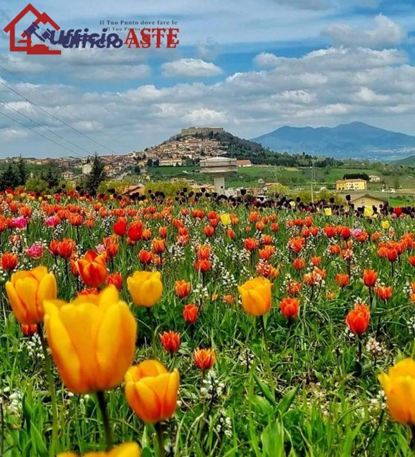 casa indipendente in vendita ad Avigliano in zona Castel Lagopesole