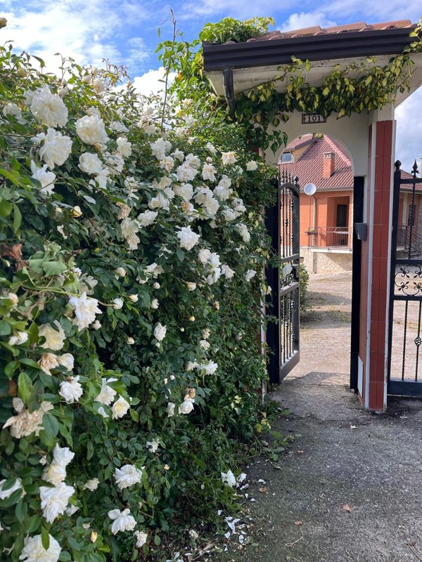 casa indipendente in vendita ad Avigliano