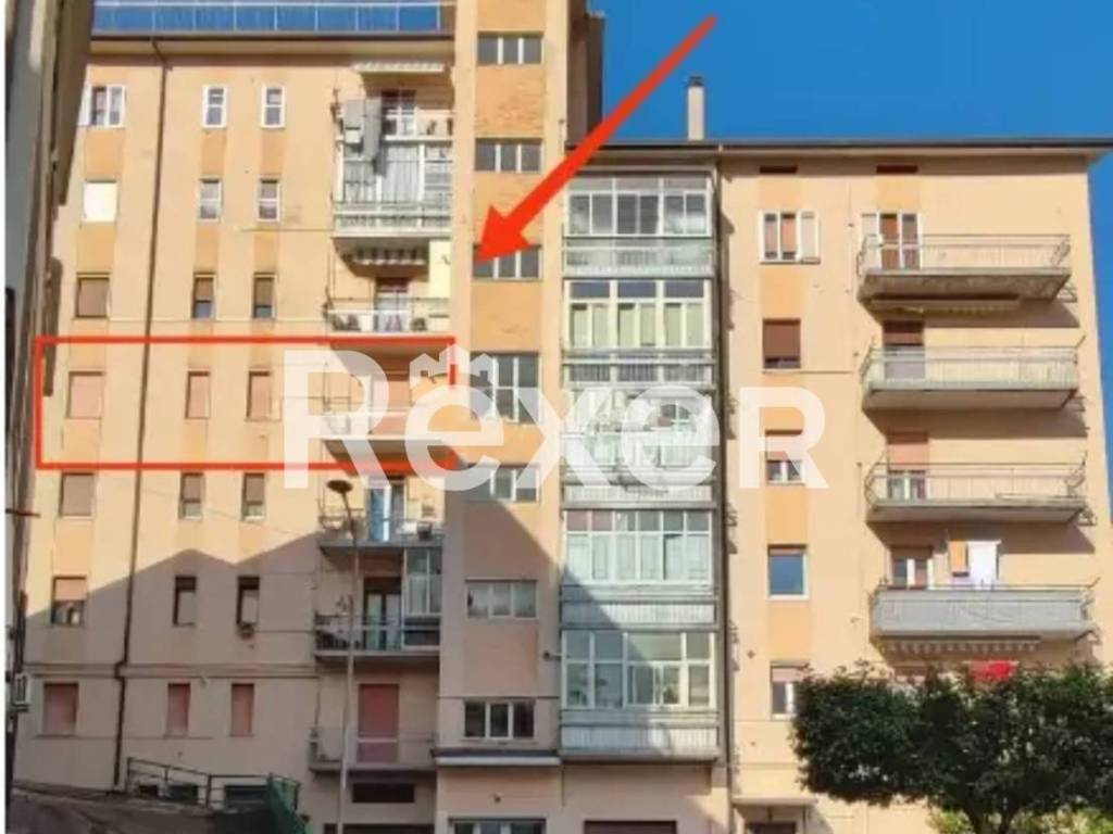 appartamento in vendita ad Avigliano