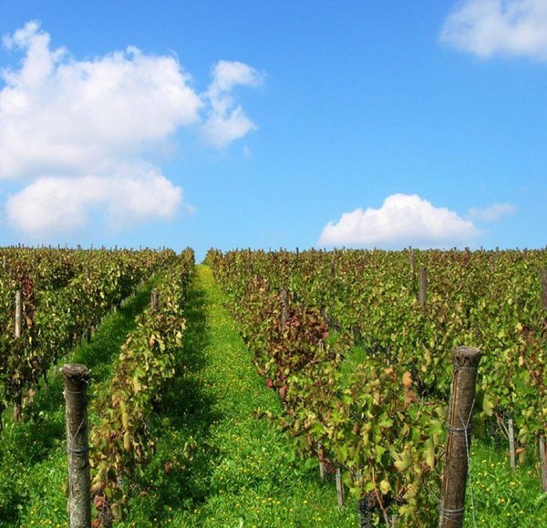 appartamento in vendita a Barile