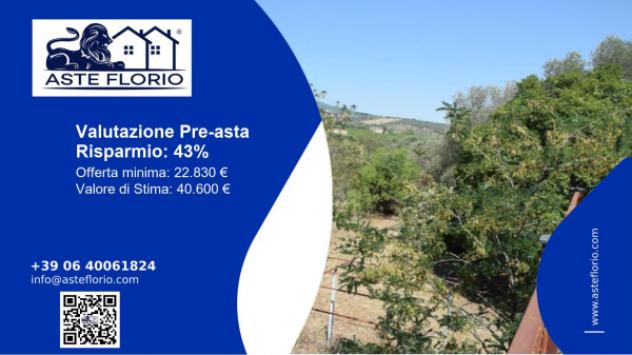 terreno edificabile in vendita a Barile