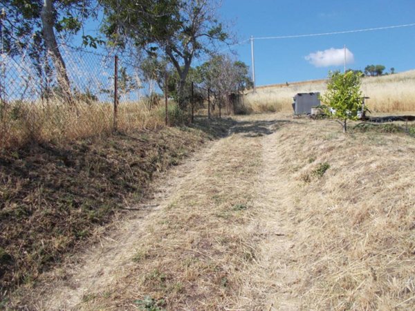 terreno agricolo in vendita a Barile