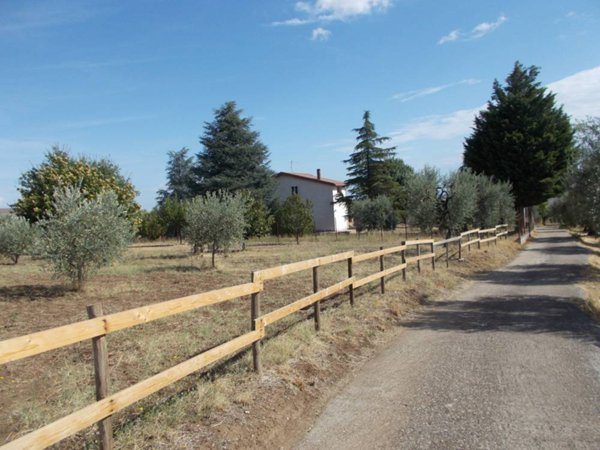 casa indipendente in vendita a Barile