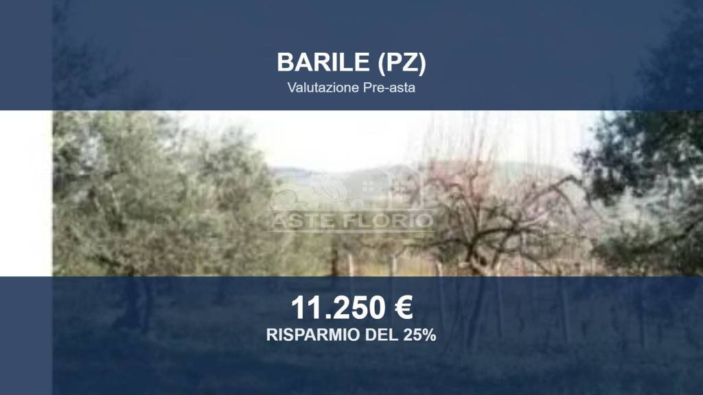 terreno agricolo in vendita a Barile