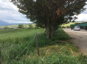 negozio in vendita a Bella in zona Sant'Antonio Casalini