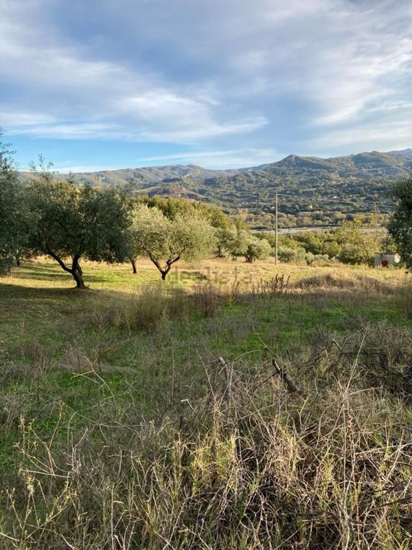 capannone in vendita a Chiaromonte
