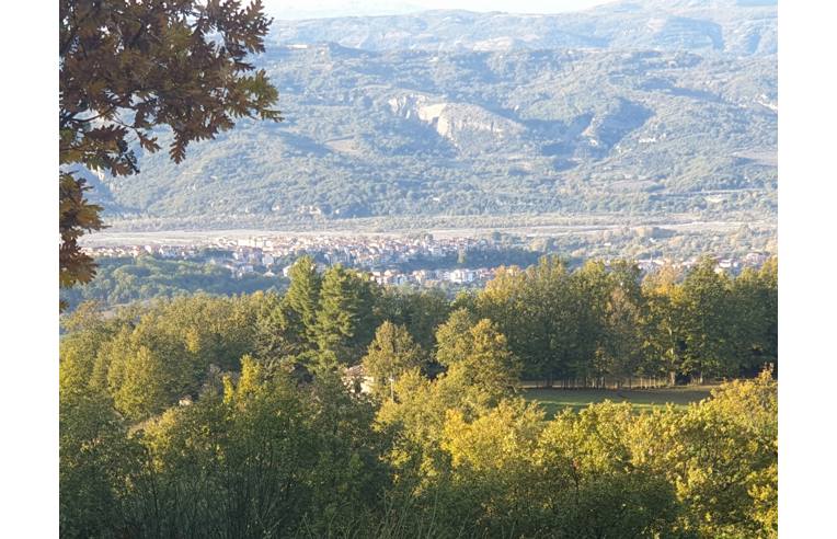 casa indipendente in vendita a Francavilla in Sinni