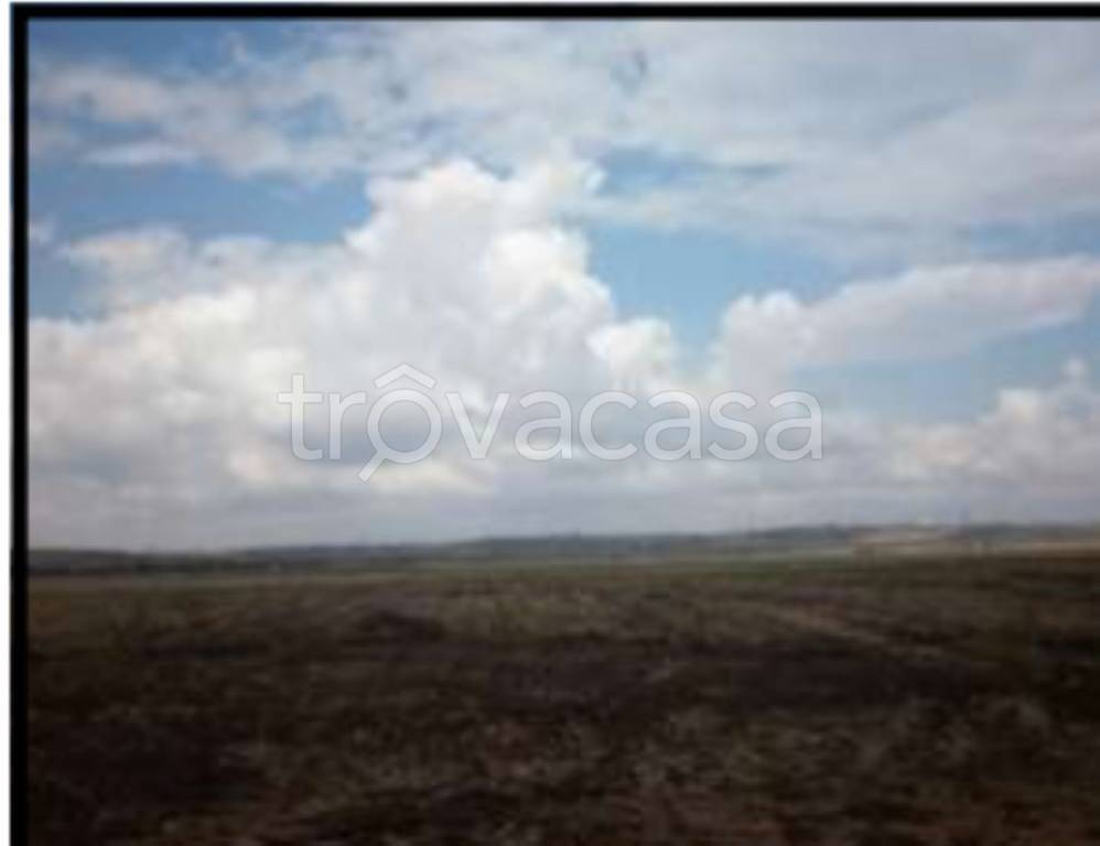 terreno agricolo in vendita a Genzano di Lucania