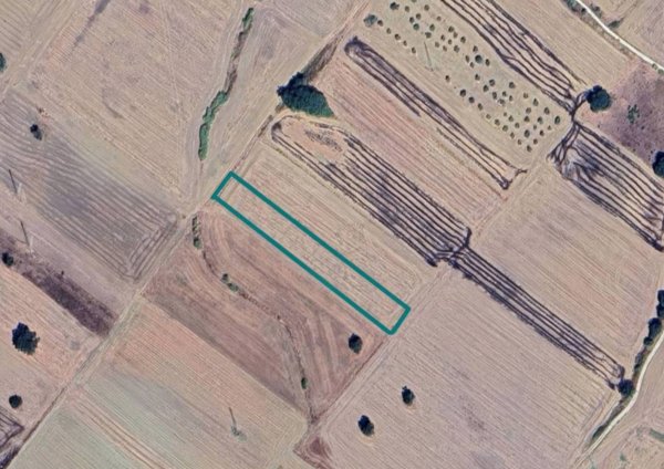terreno agricolo in vendita a Genzano di Lucania