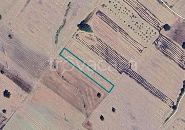 terreno agricolo in vendita a Genzano di Lucania