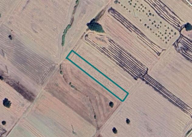 terreno agricolo in vendita a Genzano di Lucania