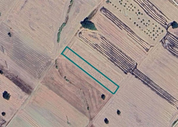 terreno agricolo in vendita a Genzano di Lucania