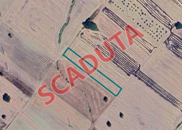 terreno agricolo in vendita a Genzano di Lucania