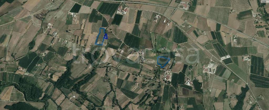 terreno agricolo in vendita a Grumento Nova
