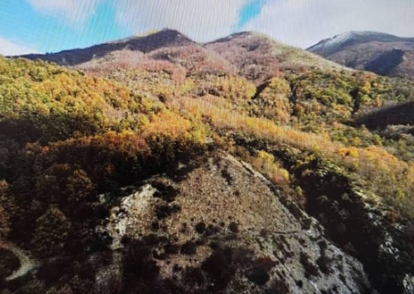 terreno edificabile in vendita a Lagonegro