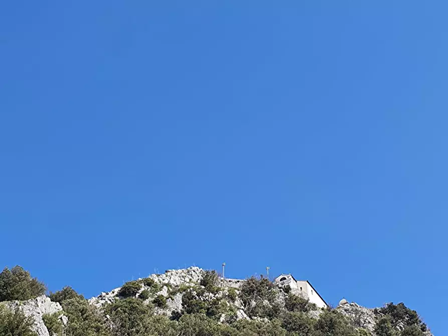 appartamento in vendita a Lauria