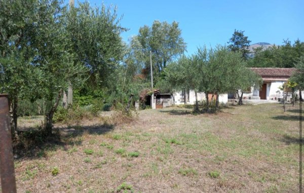 pentavano in vendita a Lauria