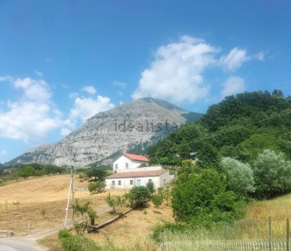 esavano in vendita a Lauria