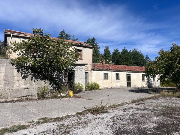 esavano in vendita a Lauria