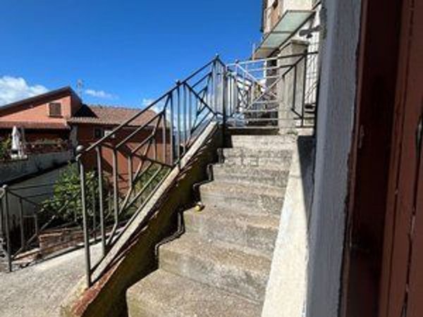 esavano in vendita a Lauria