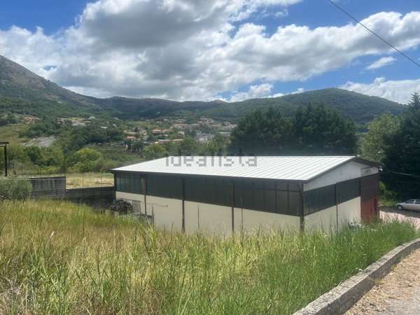 ufficio in vendita a Lauria