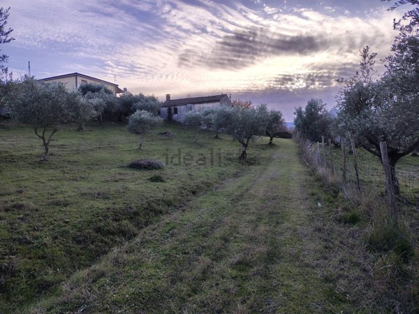 esavano in vendita a Lauria