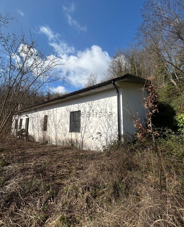 esavano in vendita a Lauria