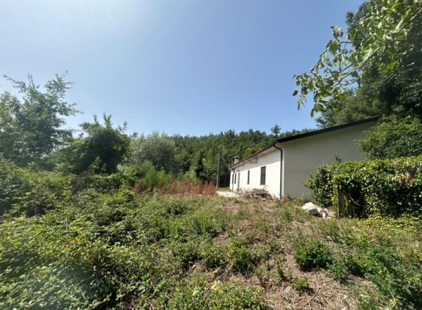 esavano in vendita a Lauria