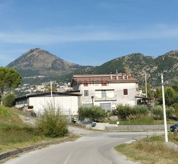 quadrivano in vendita a Lauria