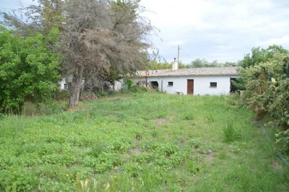 terreno agricolo in vendita a Lavello