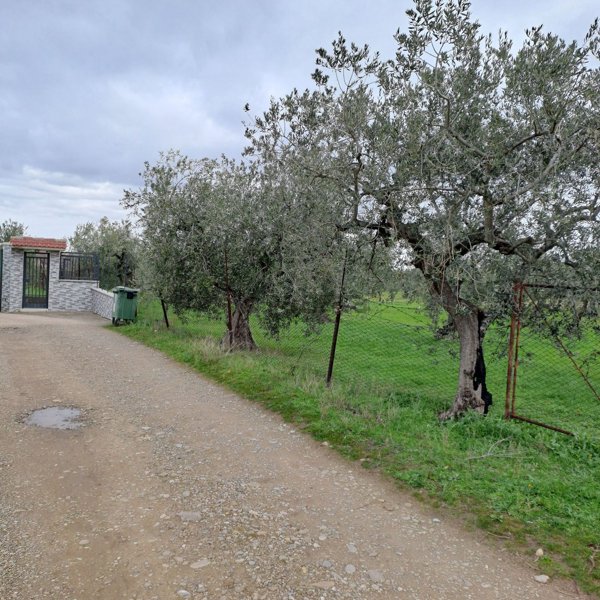 casa indipendente in vendita a Lavello